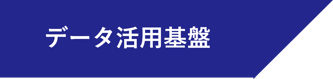 データ活用基盤